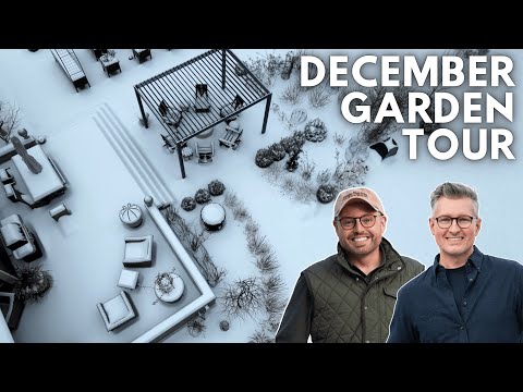 December 2025 Garden Tour ❄️ A Snowy Walk Through Our Winter Landscape