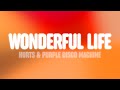 Hurts Purple Disco Machine Wonderful Life 25 Lyrics