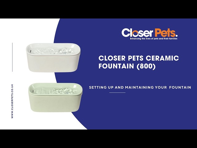 Vídeo relacionado con Pet Mate Genuine Replacement Filter Cartridges for Use with Cat and Dog Mate Pet Fountains, Pack of 6