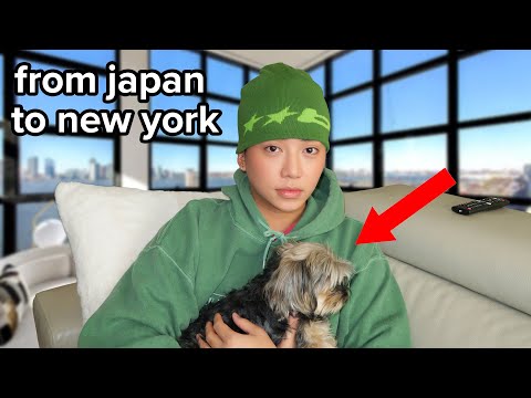 Ich verlasse Japan erneut und gehe nach New York City