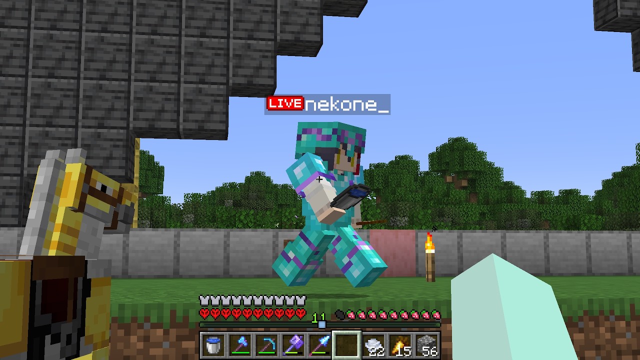 アガリに倒されたので仕返しします2 #V鯖ハードコア【マイクラ】