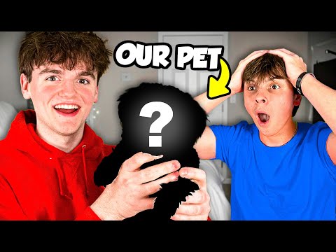 We Got A PET..