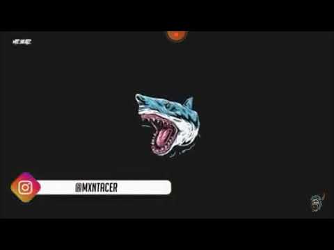 junk lisek45 ii zajonc45