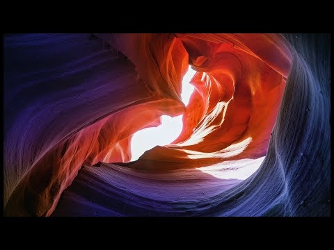 Markenfilm GARANT Premium-Werkzeug - Hoffmann Group