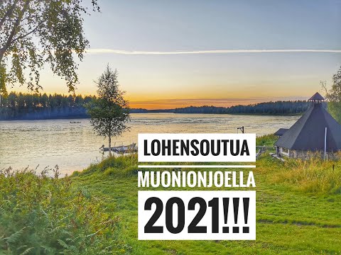 Lohen väsyttelyä Muonionjoella kesäkuussa 2021!! Kauden aloitusreissu ja kauden ensimmäinen Lohi!