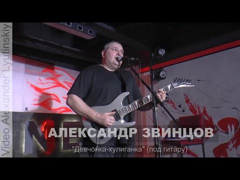 Александр ЗВИНЦОВ - "Девчонка хулиганка" (под гитару)