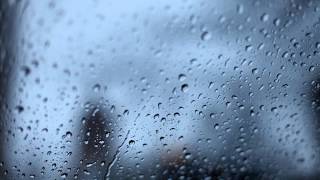 Pale Forest - Fading