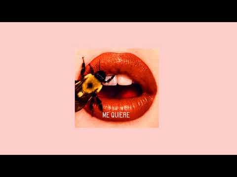 *Hard* Latin Trap Sample Type Beat "Me Quiere" Spanish Type Beat