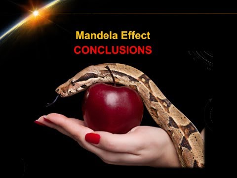 Mandela Effect Conclusion