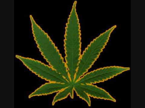 onda r - charuto de rasta