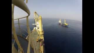 MV Jumbo Jubilee meets MV Stellanova