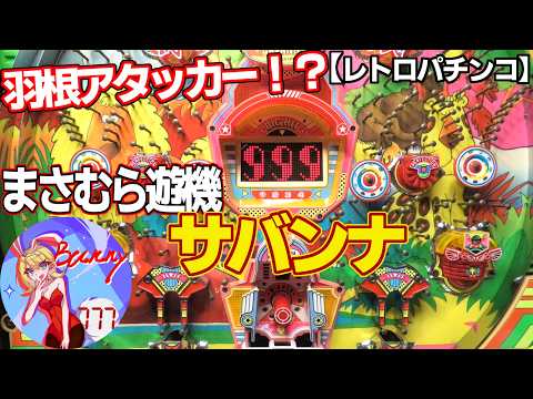 サバンナの動画