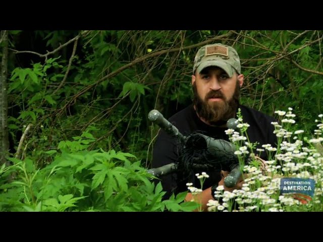 Catching Monsters With a Net Gun | Swamp Monsters