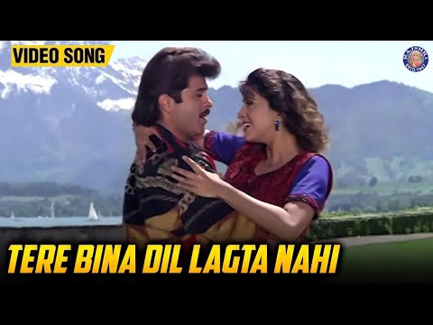 Tere Bina Dil Lagta Nahi — watch video