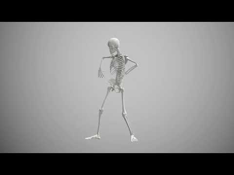 Mark Donato - Real Batucada (Official Music Video)