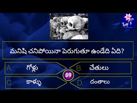 human Life Gk Questions Episode:14