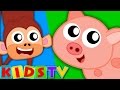 Animal Sound Song Kids Songs Kindergarten Nursery Rhymes For Toddlers By Kids TV