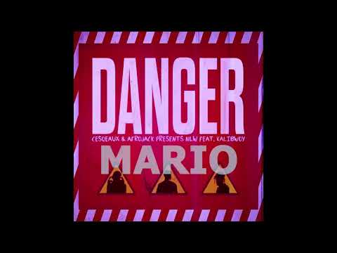 Danger x Woo Shuu Warr (MARIO MASHUP) 2023