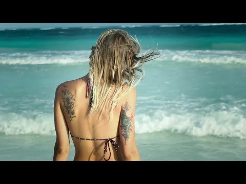 Fran Freeone - ENTRE LA NEBLINA