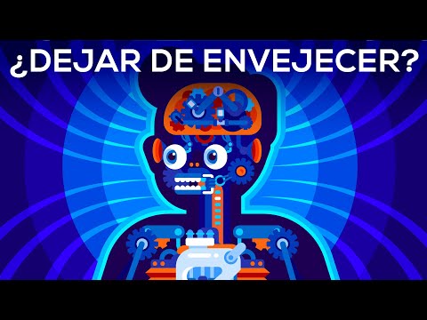 Why age? Should we stop aging?