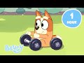 LIVE Sporty Games To Play With Bingo And Bluey Outdoor Activities With Bluey Bluey