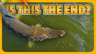 We Caught a Monster Fish Today!