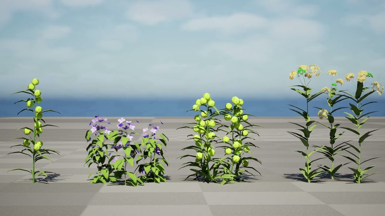 North American Milkweeds Collection V06 3D Model