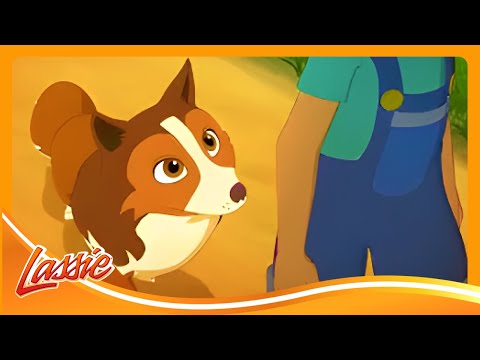 Lassie & Zoe’s Puppy Rescue Adventure 🐶 | The New Adventures of Lassie | Cartoons For Kids
