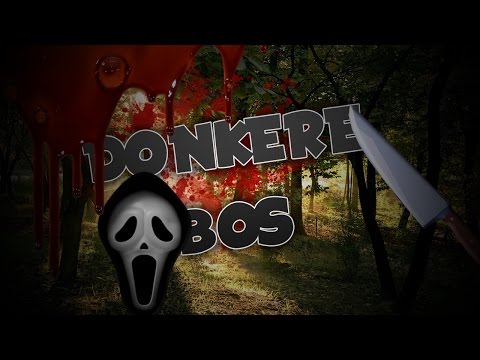 ONTVOERD IN HET DONKERE BOS?!