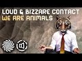 LOUD & Bizzare Contact - We Are Animals 