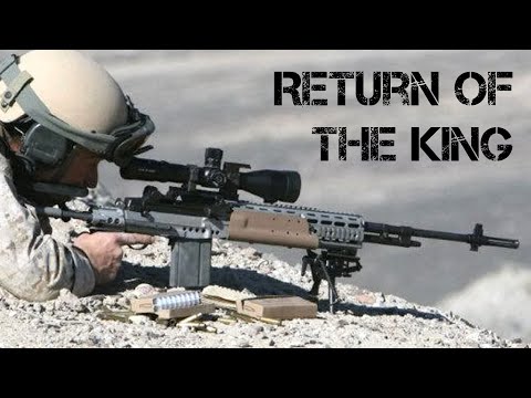 M14 EBR: The Quintessential Clone Rifle