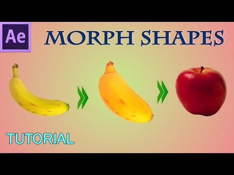 How to Morph shapes in After Effects - 56
