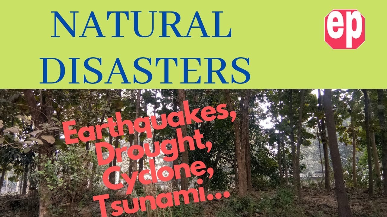 NATURAL DISASTERS/Earthquakes, Cyclones, Floods, Drought, Tsunami/Ed Park Channel