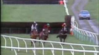 Horse Racing Never see races like this again 1 Newcastle 1990