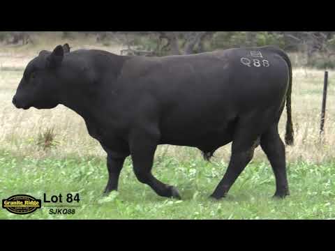 GRANITE RIDGE QUICKSILVER Q88