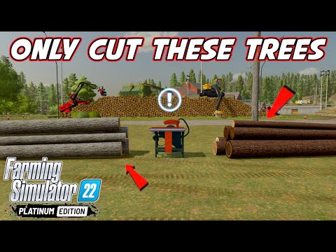 Most Profitable Tree In Farming Simulator 22