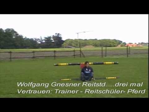 Pferd springt über Mensch