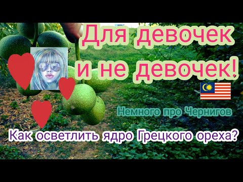 Как осветлить ядро Грецкого ореха. Немного про достопримечательности Чернигова. Пушка 1870 года.