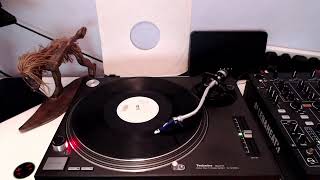 Paul van Dyk / Peter Heppner - Wir Sind Wir (ambient mix)