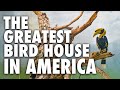 Zoo Tours World Of Birds The Bronx Zoo