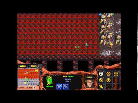 StarCraft 1 - Infested Run