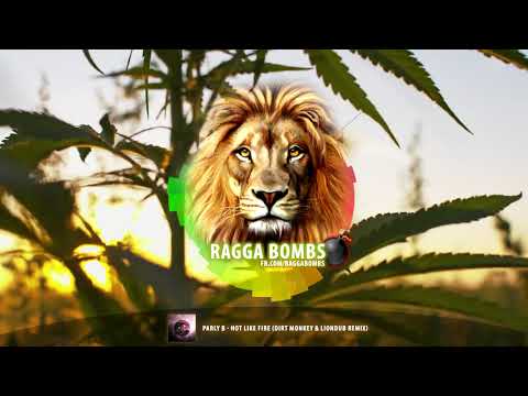 Parly B - Hot Like Fire (Dirt Monkey & Liondub Remix)