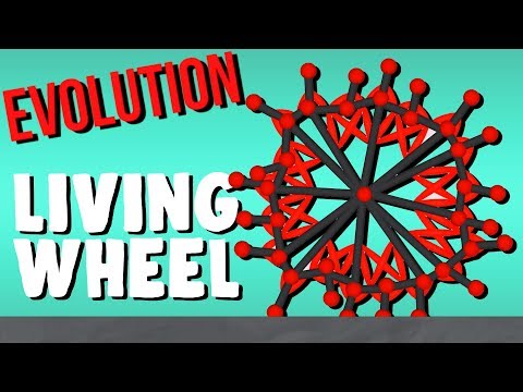 Evolving the Living Wheel! - Evolution Simulator - YouTube