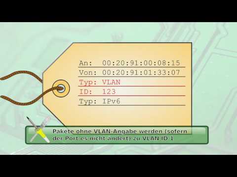 BitBasics - Netzwerk - VLAN