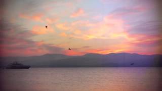 Sean Finn feat  Tinka   Summer Days Official Video