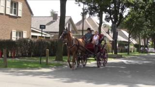 preview picture of video 'De Groom CCB   Dokterskoets  Damme 2014'