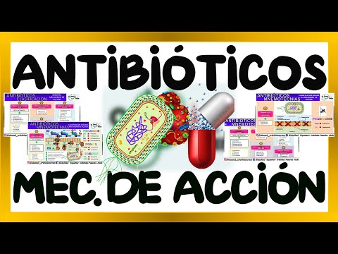 ANTIBIOTICS MNEMONICS - ANTIBIOTICS CLASSIFICATION AND MECHANISM OF ACTION | GuiaMed