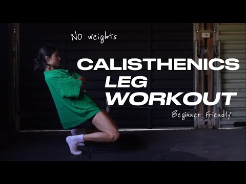 CALISTHENICS LEG WORKOUT - NO WEIGHTS, beginner friendly