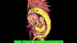Dukes Of The Kumatai - Premonitions Of Exploitations