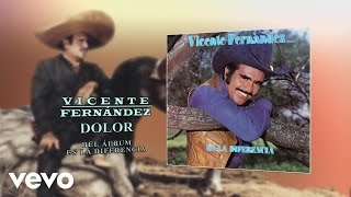 Vicente Fernández - Dolor (Cover Audio)